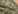 �C���f�b�N�X�E�O���b�h 