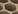�C���f�b�N�X�E�O���b�h 