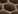 �C���f�b�N�X�E�O���b�h 