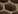 �C���f�b�N�X�E�O���b�h 