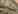 �C���f�b�N�X�E�O���b�h 