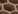 �C���f�b�N�X�E�O���b�h 