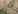 �C���f�b�N�X�E�O���b�h 