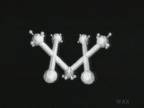 X�` : �Ƒ�