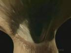 �߂� 
