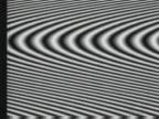 �J�C���̌�� : �U���q