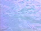 Brume : Formes Nuageuses