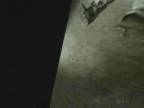 ���� : ������