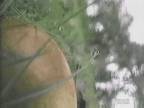 �Ăъ� : �A