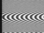 �J�C���̌�� : �U���q