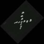 �e�L�X�g 