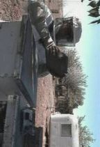 ���� : ����������Ă��邾��