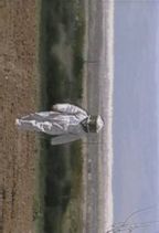 ���� : �s�����藈����