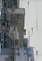 ��蕨 : ���H�W��