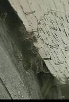 �I : ���\�|�^�~�A���I