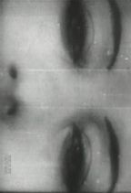 �ǂ� : ��̌���l