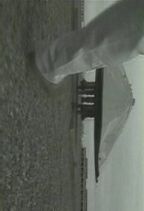 �� : �����i���j