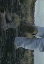 �� : �����i���j