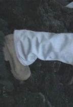 �� : �����i���j