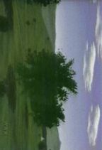 �n���� : �󒆂���
