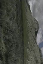 �R�X : ��ł�������