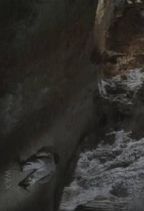 ���� : ������