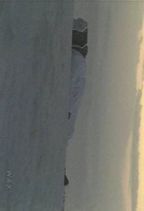 ���� : �z���C�g�E�T���Y