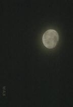�Ăъ� : ��