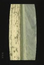 �n���� : �g�ݗ��Ă�ꂽ
