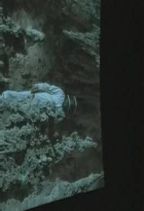 ���� : ������������