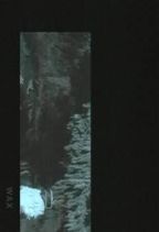 ���� : ������������