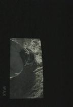 ���� : �����̒�