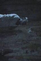���� : �����̒�