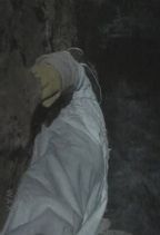���� : ������
