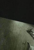 ���� : ������