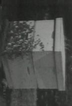 �I : �����ꂽ�Q��
