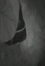 ���� : ������