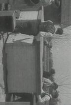 �I : �����ꂽ�Q��
