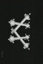 X�` : �Ƒ�