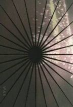 �������� : �n�̂悤�Ȕ�