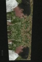 ���� : �������邢�͍��