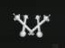 X�` : �Ƒ�