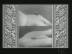 Hands : Beekeepers