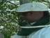 T�l� d'Abeilles : Descendant