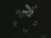 T�l� d'Abeilles : Corps Mort