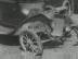 ��蕨 : �o�M�[