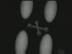 X�` : ��l