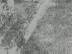Abeilles : Abeille M�sopotamiene