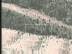 T�l� Ou Pas : Boite Blanche