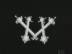 X�` : �Ƒ�